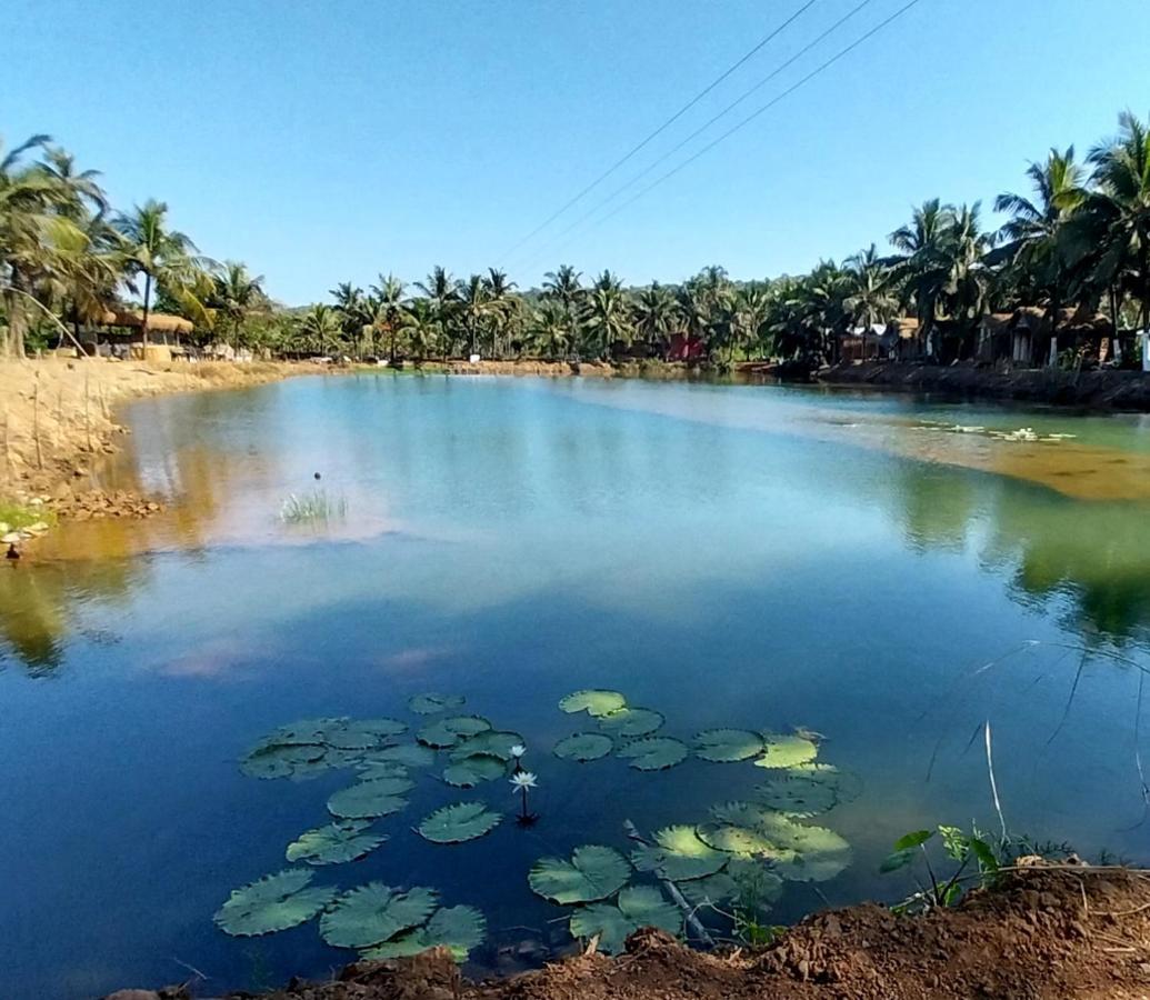 Wake Park Goa Hotel Arambol Bagian luar foto
